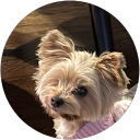 Amy Meiners profile picture